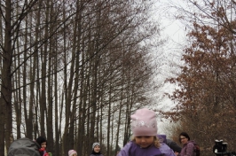 DSCN0154 (3)