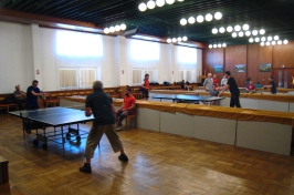 Pinec cup 2015