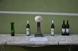 Tenisová liga 2016