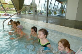 Školní rok 2016/2017