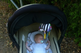 Školní rok 2017/2018