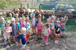 Školní rok 2024/2025