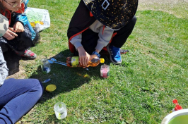 IMG-20260430-WA0007