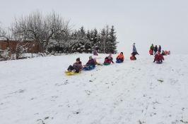 Zimní radovánky - leden