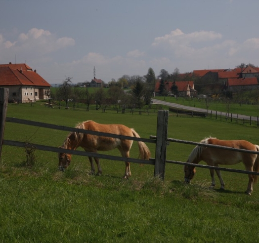 3v4o0842_20190314_1262242147