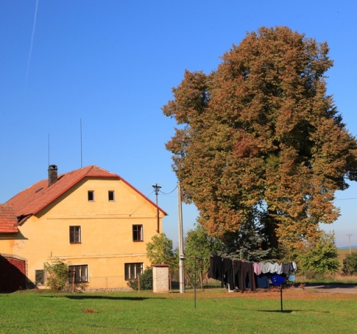 eske_hemanice_borova_img_3443_20190314_1631129926