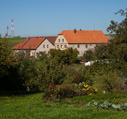 eske_hemanice_borova_img_3456_20190314_1420824018