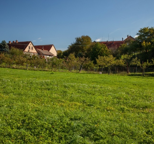 eske_hemanice_borova_img_3469-_20190314_1102908637