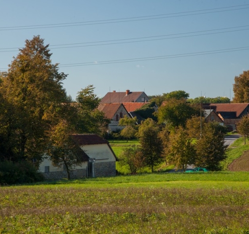 eske_hemanice_borova_img_3472-_20190314_1569265558