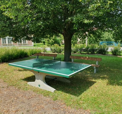 pingpongovy-stul-choteisny-2