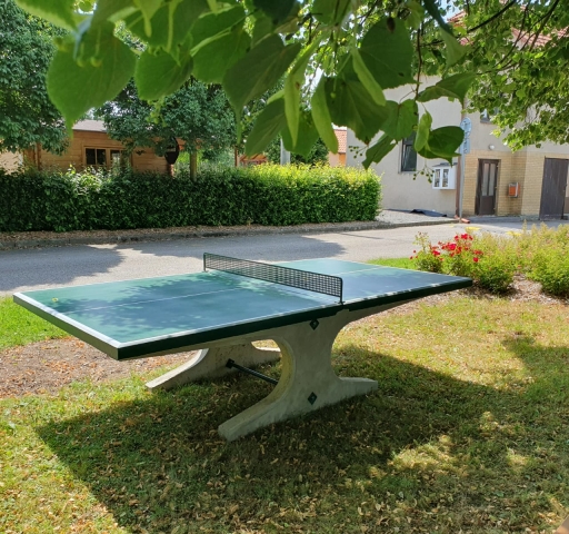 Ping-pong